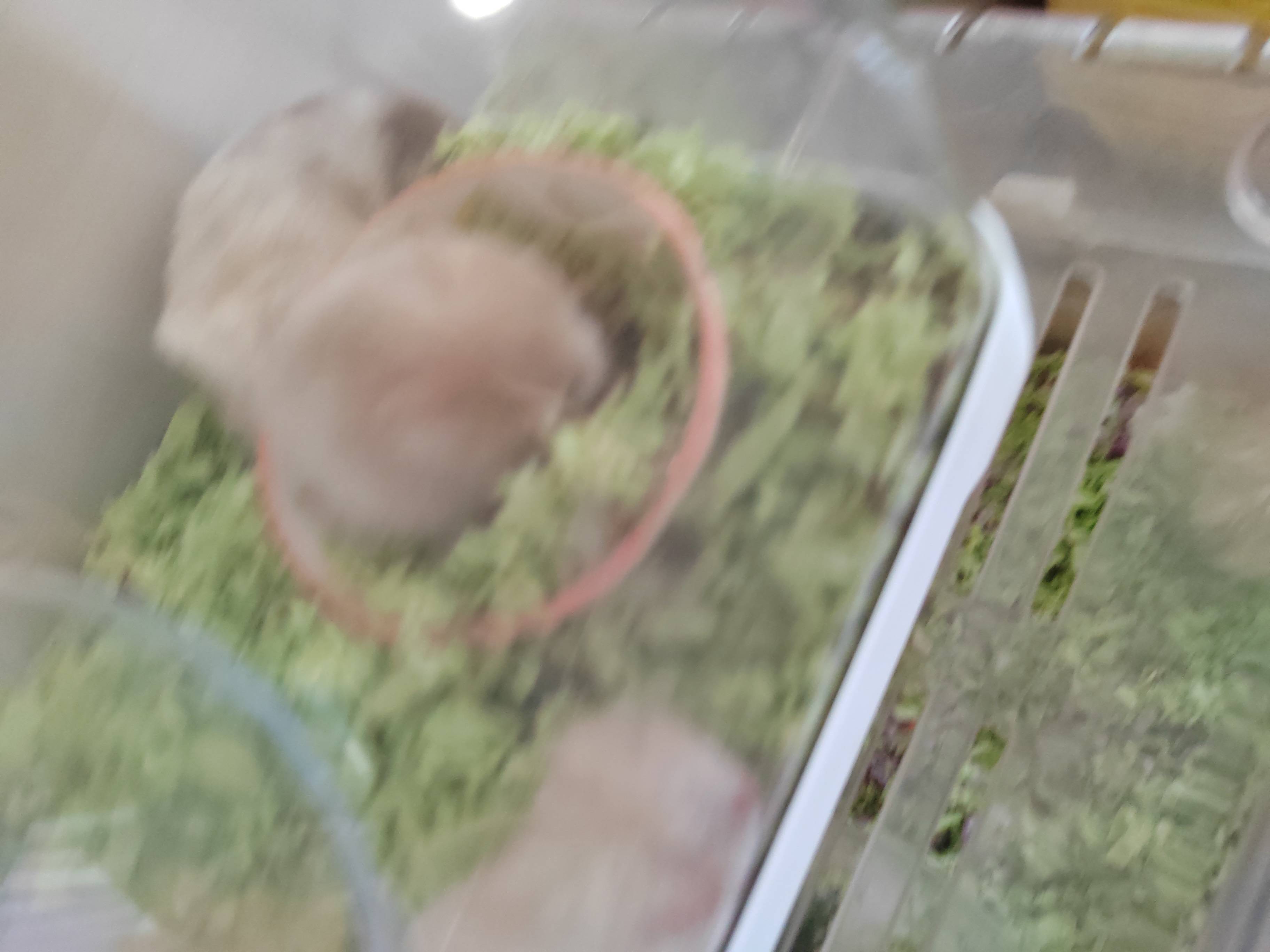 特价包邮